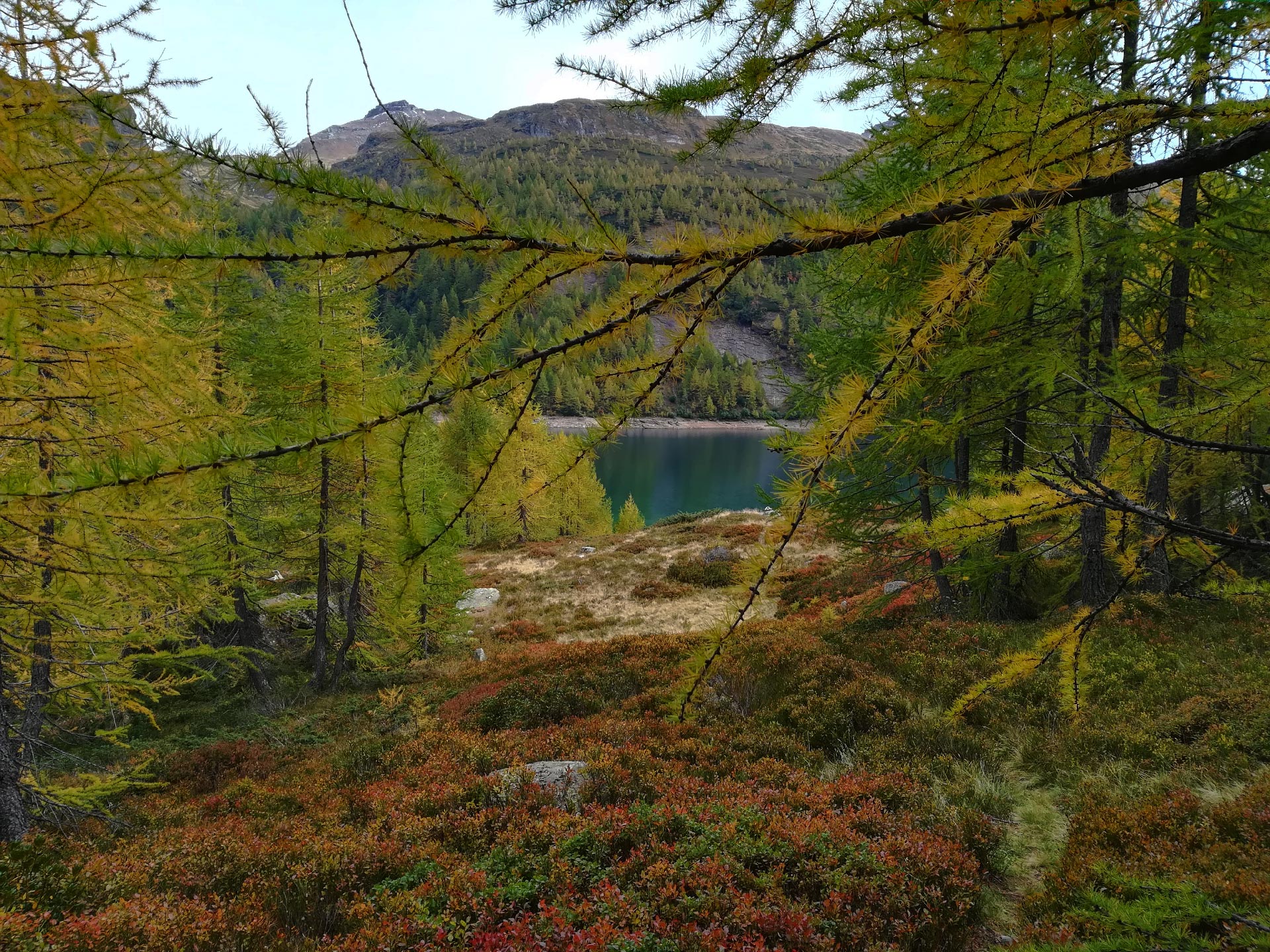 i colori del lago Devero e della natura circostante, Verbania, Piemonte